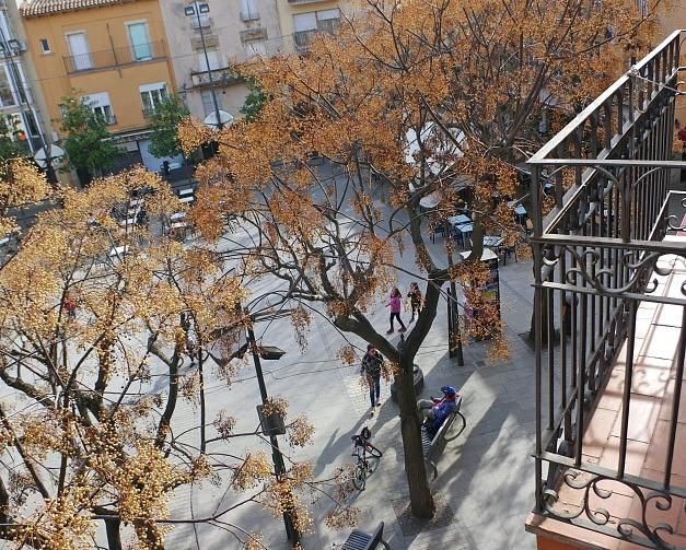 Apartamento Plaça Nova 2