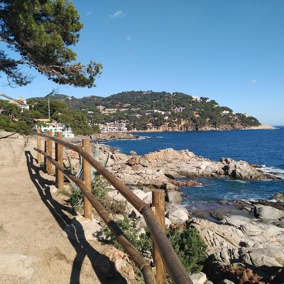 Senderismo y rutas panorámicas