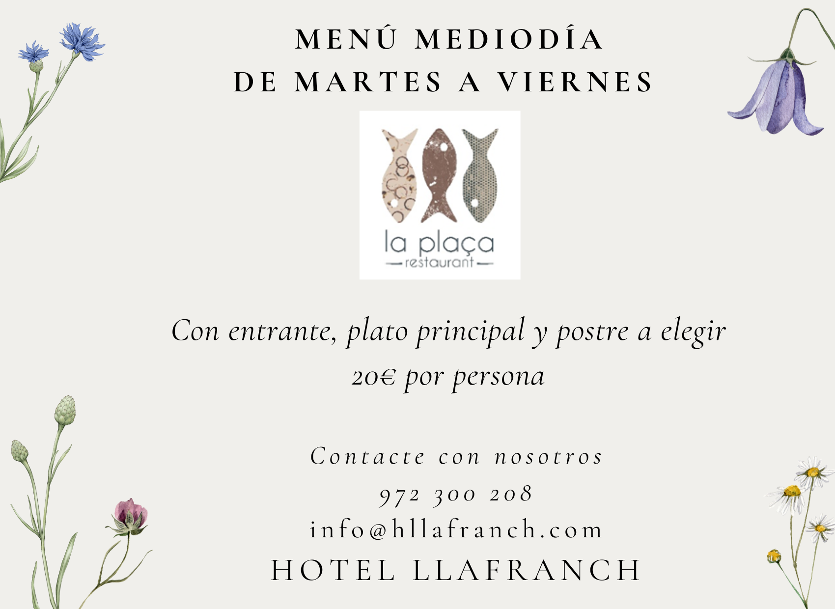 CARTEL MENU MEDIODIA CAST LA PLAÇA WEB HOTEL